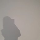엉망진창이어도 꼭 살아 있자 우리