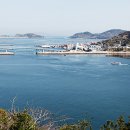 1885비어 이미지