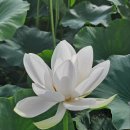 외동배수펌프장 이미지