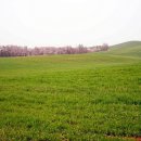 방은목장 이미지