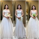 [W05] 셀레브 브라이덜 촬영드레스 셀렉 후기 (25년 4월)