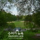 우리동네채소과일 이미지