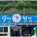 모듬회 제철활어회 멸치코스요리 추천맛집 외포 9번 횟집 거제맛집