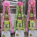 하늘기업 Daum카페