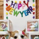 이츠펫 살롱 이미지