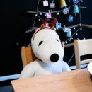 102스테이 이미지