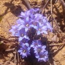 조교보건진료소 이미지