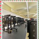 네오피트니스 이미지