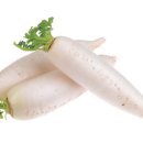 무 이미지