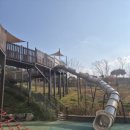 석정사슴 이미지