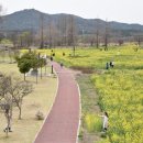 황룡강친수공원 이미지