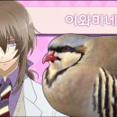 이어프렌드 | 하토풀 보이프렌드 료우타, 나나키, 사쿠야, 유우야 + BBL루트 후기