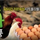 크로바양계식품