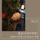 봉순이네다락방 왕십리 고양이 카페