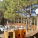 테라스의 아침2 이미지