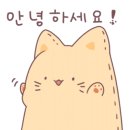 담다컴퍼니주 이미지