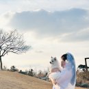 웨스트메도우 이미지