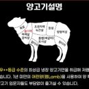 램명가양갈비화로구이 이미지