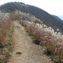 홍성한우 - 영등포구 가마산로79길 46 | 홍성한우
