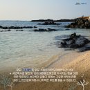바다의숨결 이미지