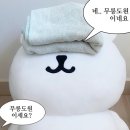 로미스핏