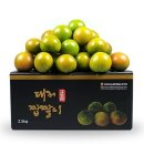 토마토 이미지