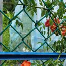 월현농장 이미지