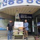 그린하우스 이미지