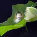 계 명