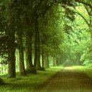 한성종합개발 이미지