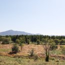 사문진교 이미지