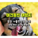 멍라운지24 데이케어 애견미용호텔 애견카페 인천점 | 반려견과 함께 광주 가볼만 한 곳...광주 애견전용 유치원･호텔,애견동반 호텔･펜션･유치원