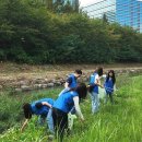 휴메딕스 이미지