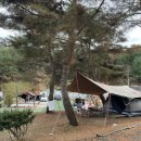 녹천농장 이미지