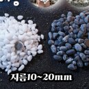 제이레포츠