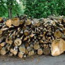 산림행정사사무소 이미지