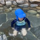 미채원 순대국밥 | 2025.07 단양 2박3일 가족 여행 기록 2탄(오션플레이/가마골쉼터)