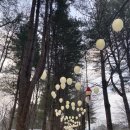 빛나키즈랜드2 이미지