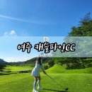 캐슬파인골프장화장실 | 여주 골프장 캐슬파인cc 라운딩 후기 (코스, 날씨, 잔디)