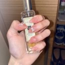 푸룬PC방 | 25.2월~8월 정산