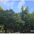 홍룡폭포(홍룡사) 이미지