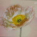 서천노인요양원