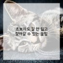 서울엠플란트치과의원 이미지