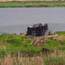 모아2리 이미지