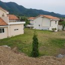 비야대정로 이미지