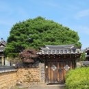 선유농장 | [경북_안동] 안동에 왔으면 꼭 와야 하는 안동 하회마을