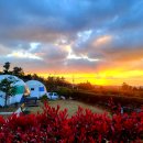 별 헤는 밤 200 이미지