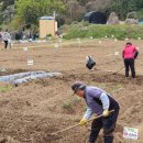 창원농장2 이미지