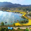 손지리 벚꽃길 이미지