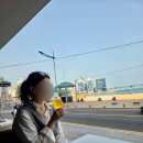 4월=살크업 일상